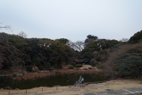 冬の庭園